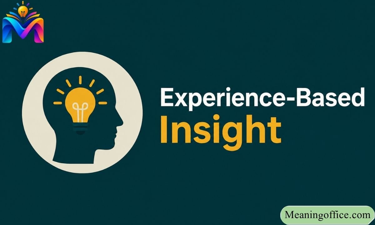 Experience-Based Insight