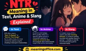NTR Meaning in Text, Anime & Slang Explained