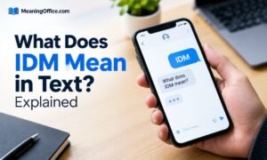 IDM Meaning in Text & Social Media Explained